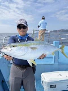 ブリの釣果