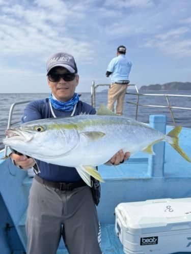 ブリの釣果