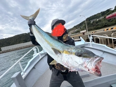 ヒラマサの釣果