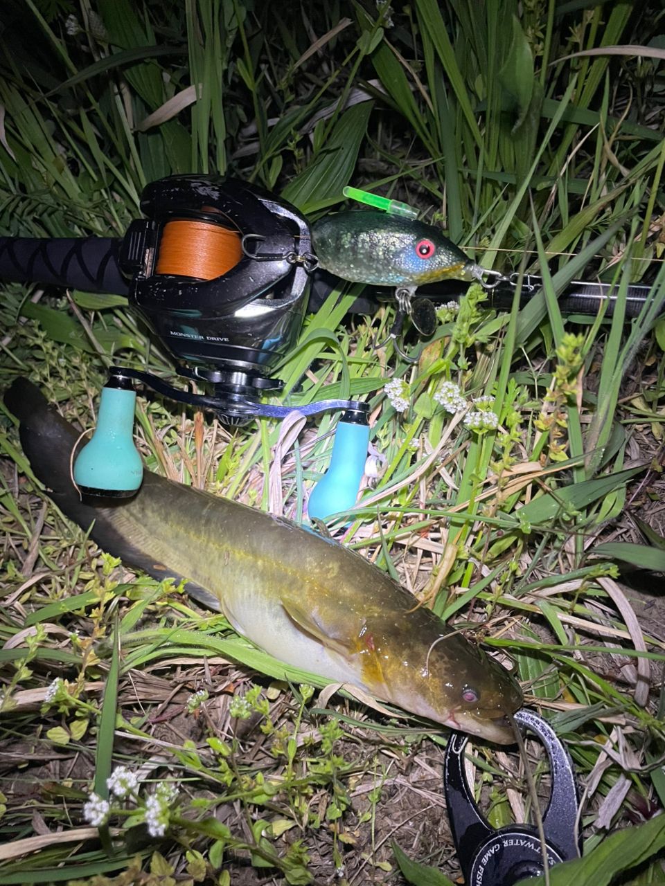 DAIWA 18ラテオ ボートシーバス 73HBの最安値・インプレ・釣果 | 本音