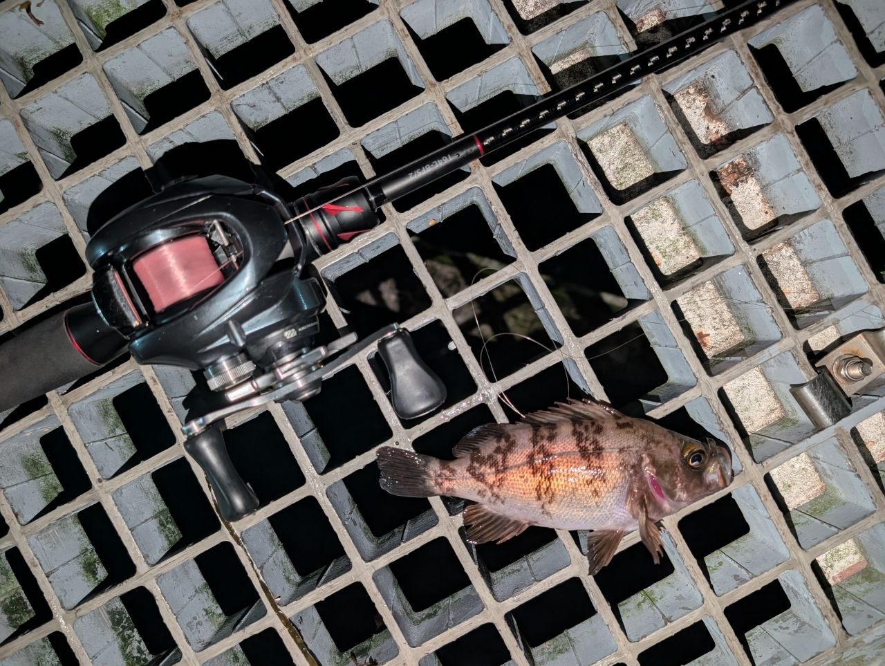 SHIMANO 20ゾディアス 164L-BFS/2の最安値・インプレ・釣果 | 本音の