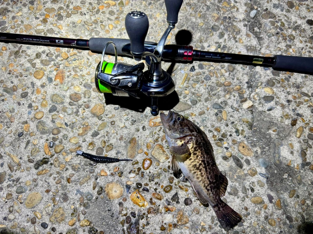 DAIWA 19HRF® (ハードロックフィッシュ) AGS 78MLの最安値・インプレ