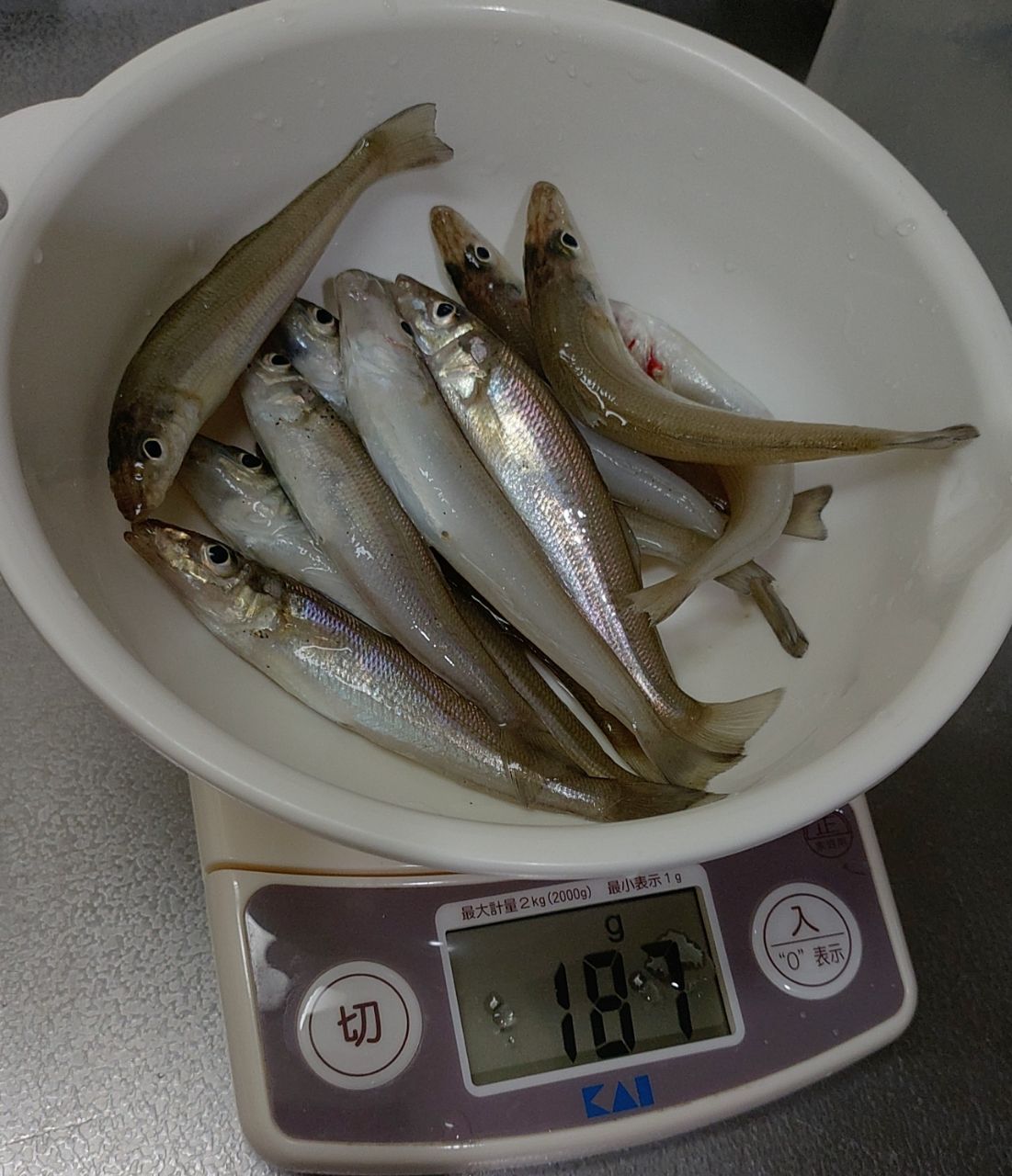ダイワ　14サーフベイシア45 06PE DAIWA 14サーフベーシア 45 06PEの最安値・インプレ・釣果 | 本音の