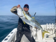 ヒラマサの釣果