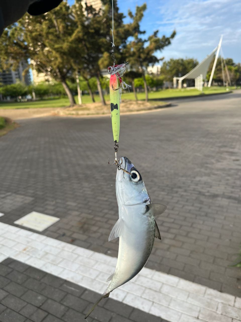 DAIWA 22オーバーゼア 100MHHの最安値・インプレ・釣果 | 本音の口コミ