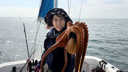 コウイカの釣果