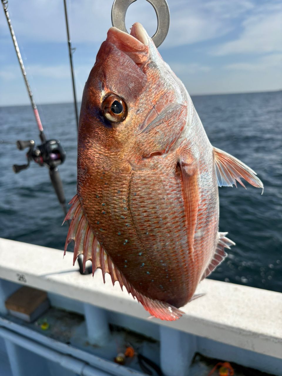 SHIMANO 18グラップラー プレミアム 150XGの最安値・インプレ・釣果