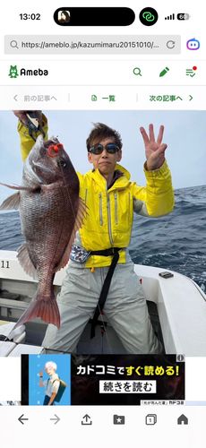 タイの釣果