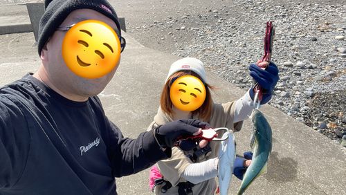 ワカシの釣果