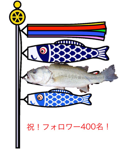 ブラックバスの釣果