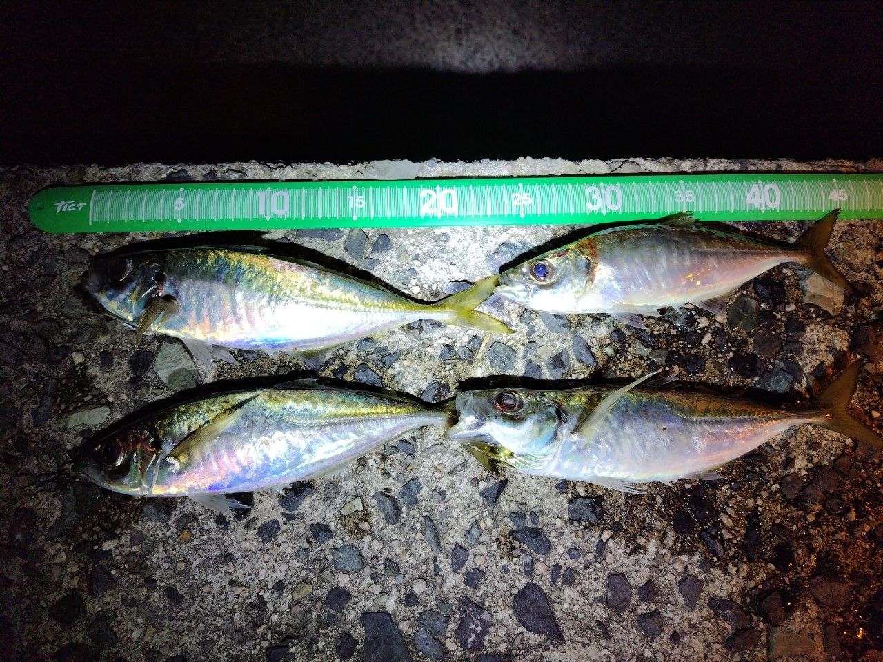 SHIMANO 21ソアレXR S54SUL-Sの最安値・インプレ・釣果 | 本音の口コミ