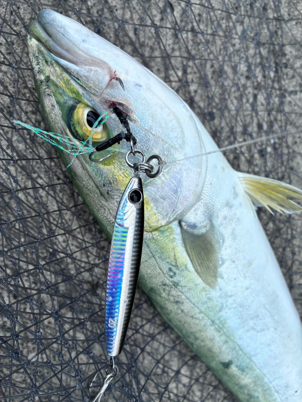 DAIWA 19レグザ LT4000D-CXHの最安値・インプレ・釣果 | 本音の口コミ