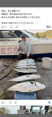 ブリの釣果
