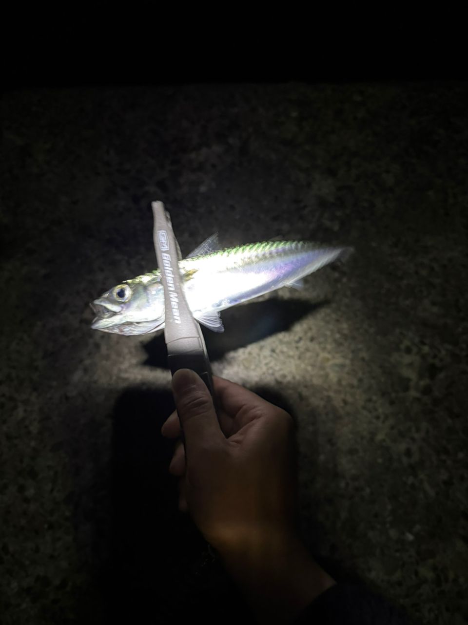 SHIMANO 18ソアレ SS アジング S610SUL-Sの最安値・インプレ・釣果