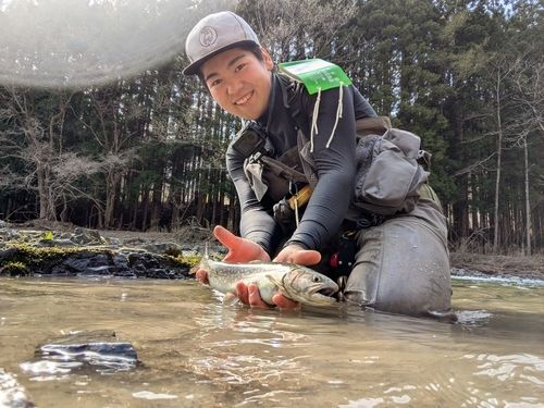 イワナの釣果