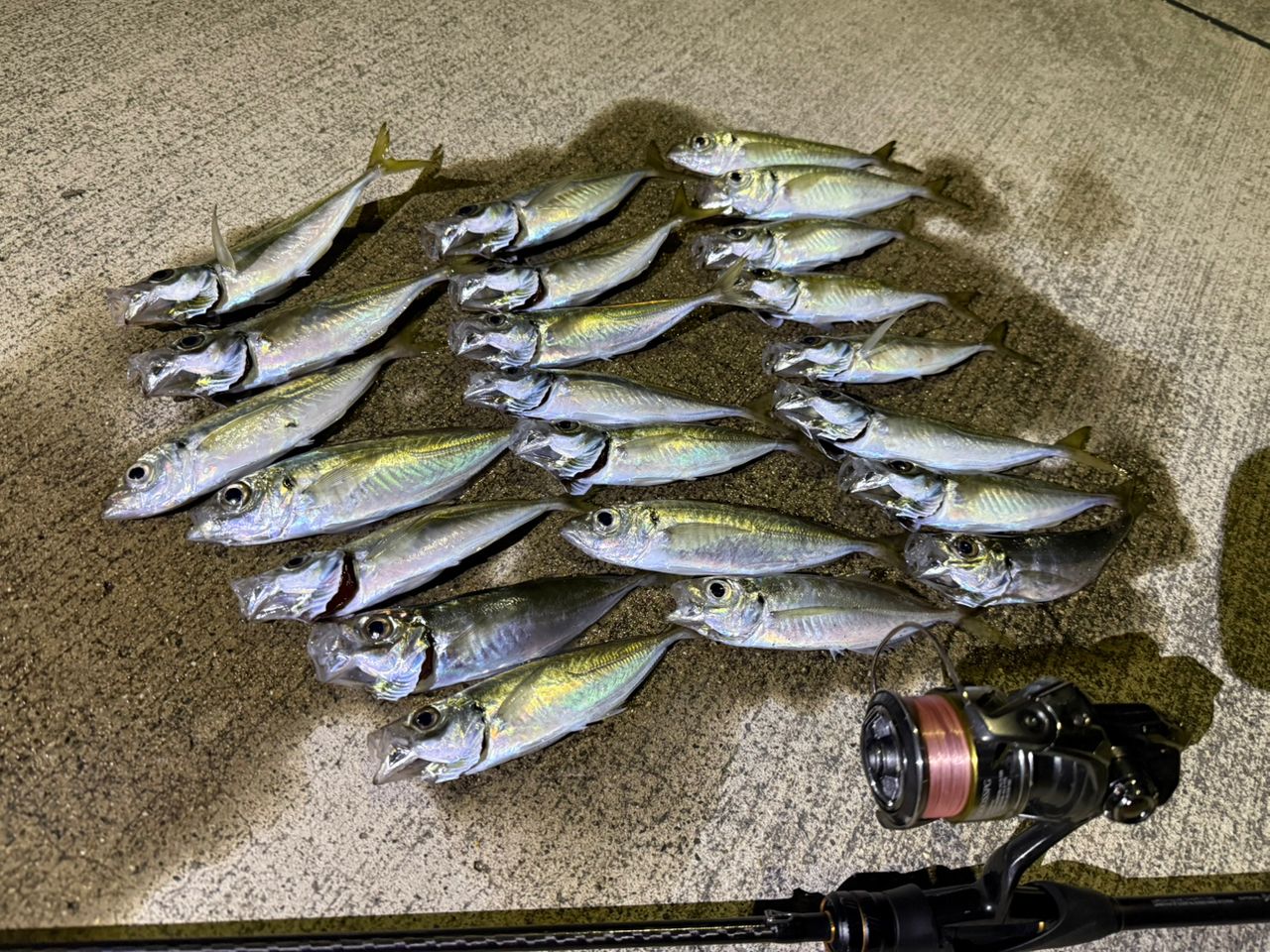 SHIMANO 21ソアレXR S610L-Sの最安値・インプレ・釣果 | 本音の口コミ