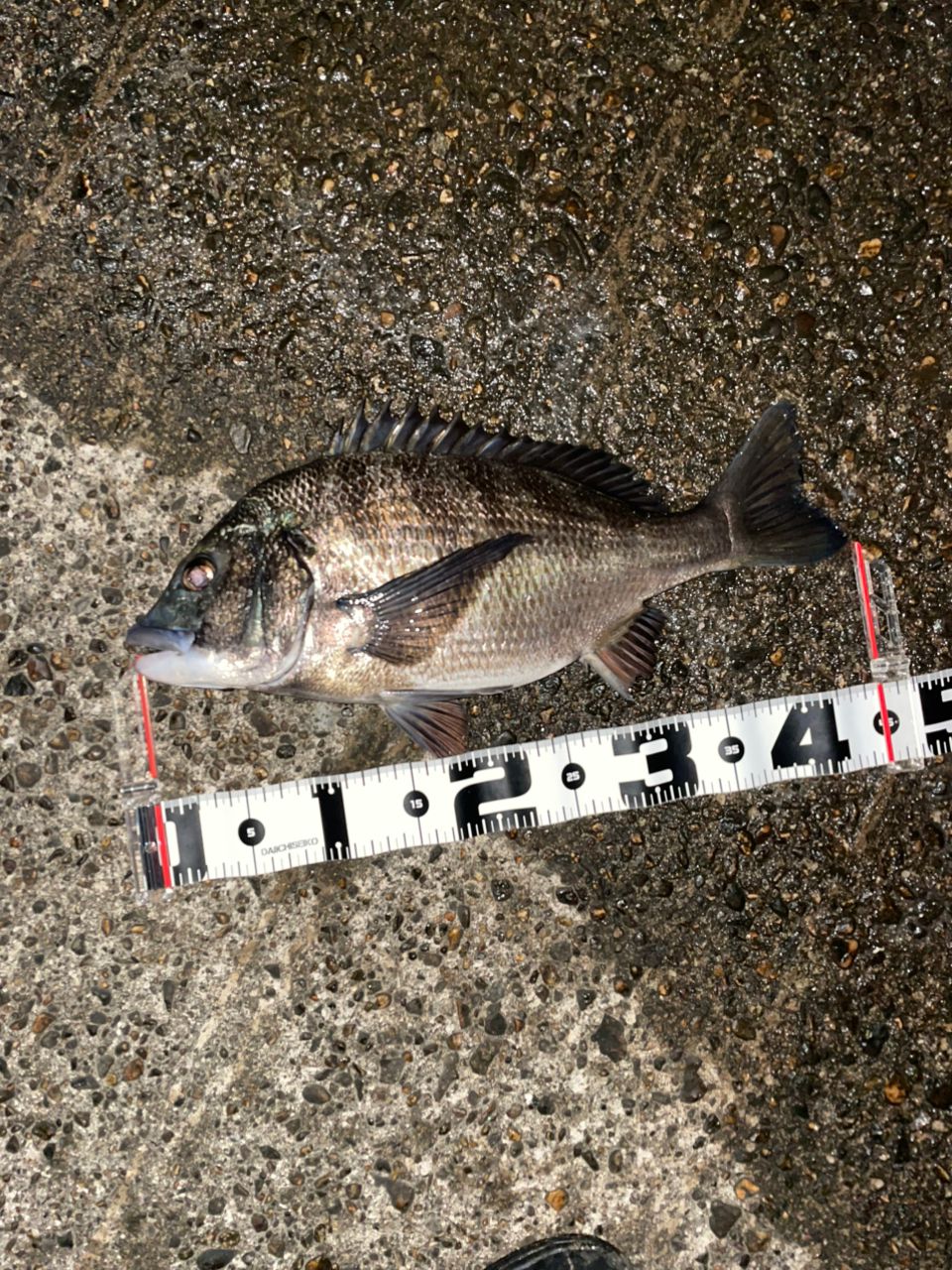 SHIMANO 18ハードロッカー S83MHの最安値・インプレ・釣果 | 本音の