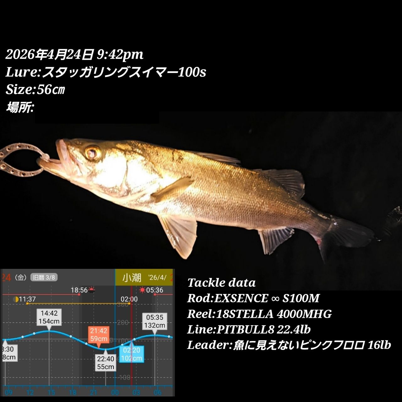 SHIMANO 22エクスセンス ∞ (インフィニティ) S100Mの最安値・インプレ