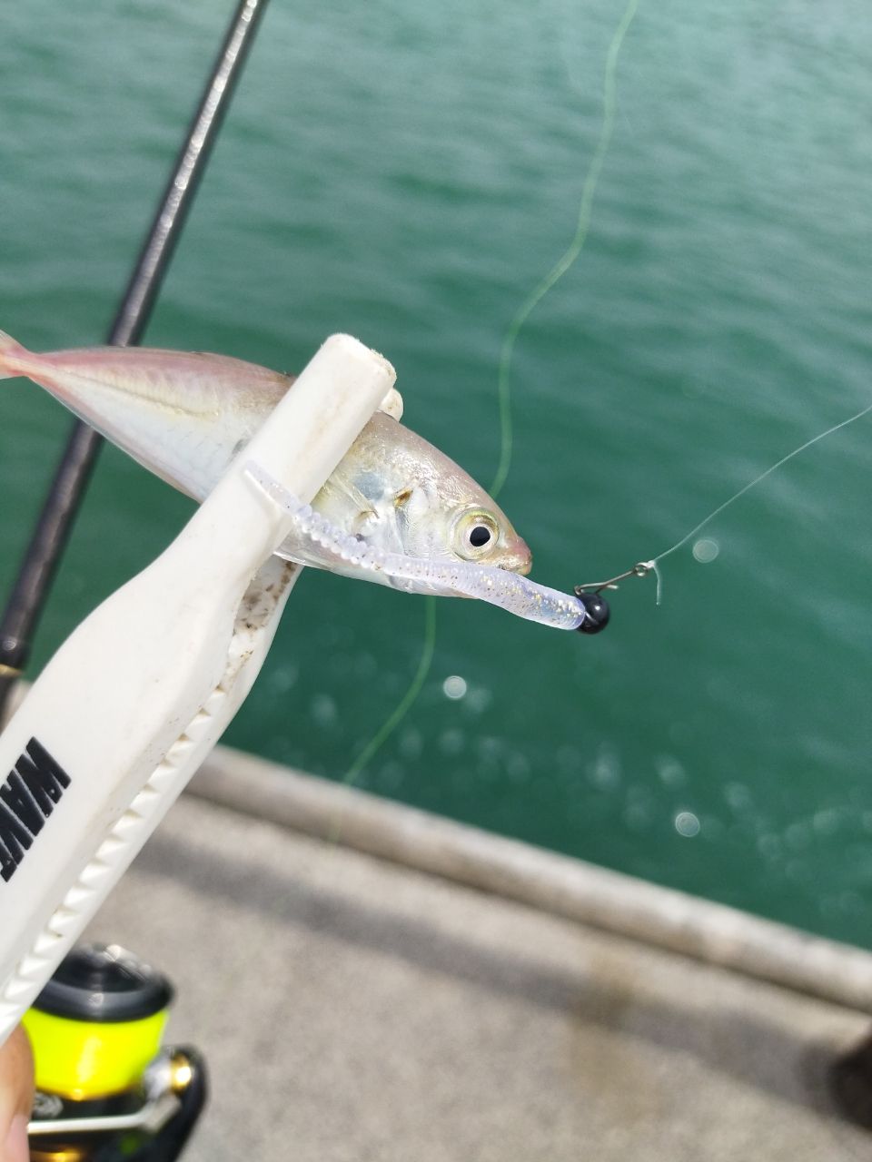 SHIMANO 22ソアレ SS アジング S58UL-Sの最安値・インプレ・釣果