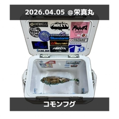 コモンフグの釣果