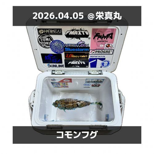 コモンフグの釣果