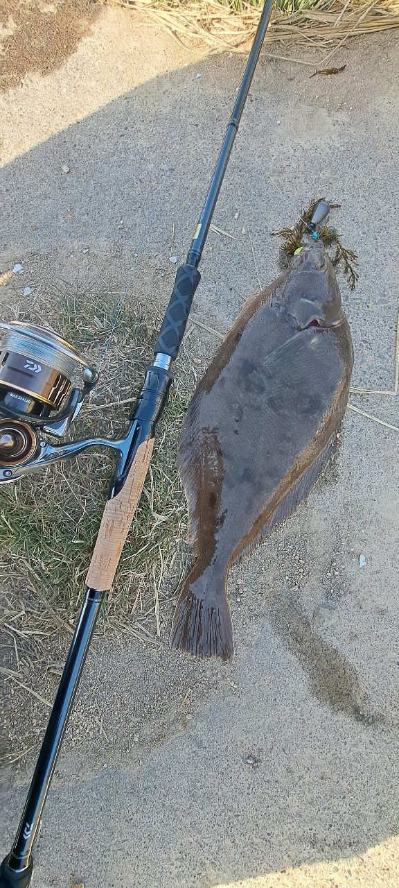 DAIWA 23ファントム リベラリスト 863ML+RSSの最安値・インプレ・釣果