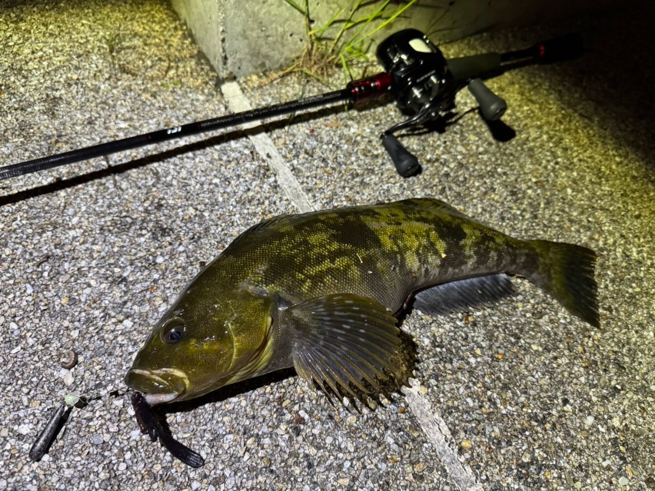 DAIWA 21HRF® (ハードロックフィッシュ) エア 610ML/MB・Nの最安値