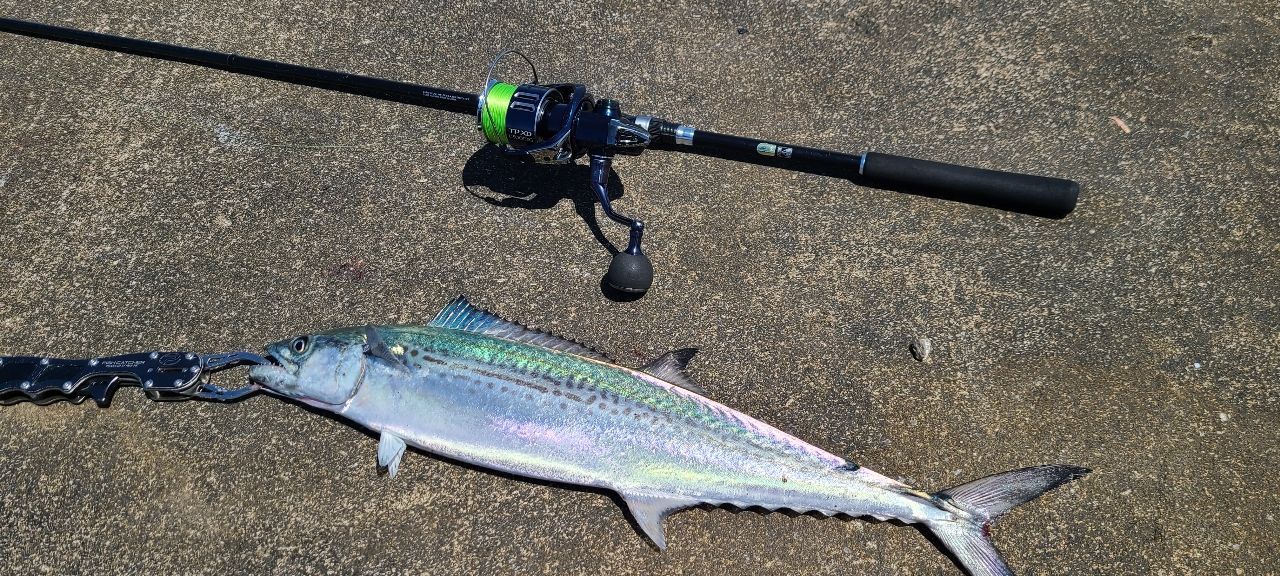 SHIMANO 19ソルティーアドバンス SEABASS S96MLの最安値・インプレ