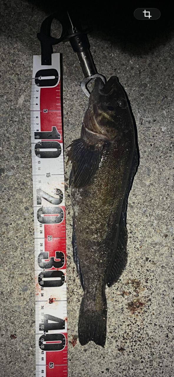 AbuGarcia クロスフィールド XRFC-654ML-BF-MBの最安値・インプレ