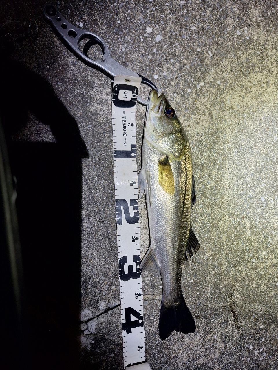 DAIWA 21ラブラックス AGS 90Lの最安値・インプレ・釣果 | 本音の