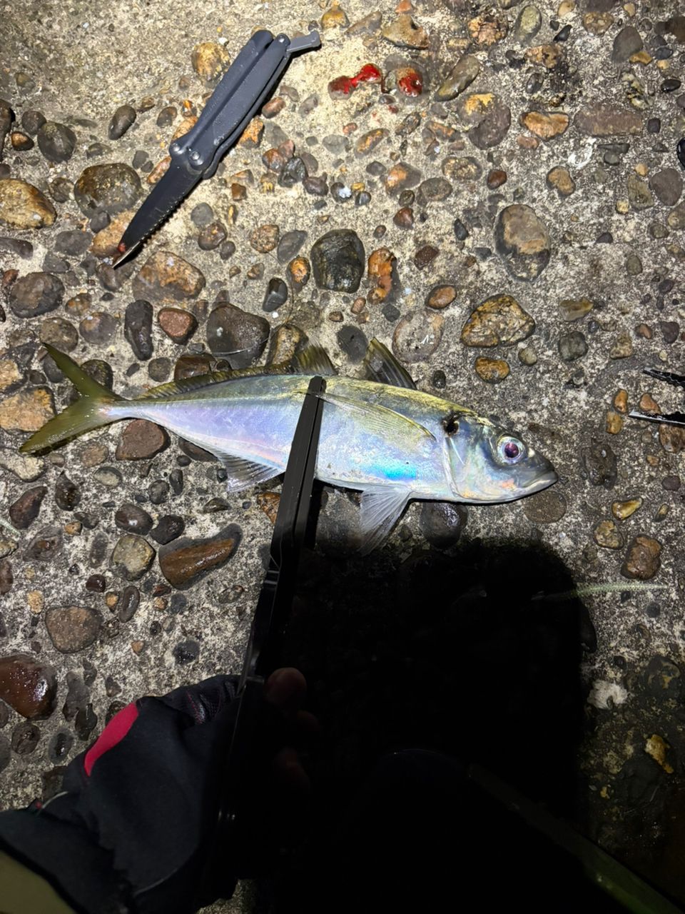 SHIMANO 22ソアレ SS アジング S68SUL-Sの最安値・インプレ・釣果
