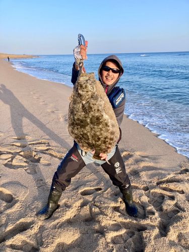 ヒラメの釣果