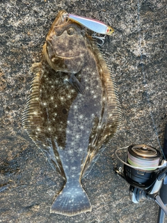 ヒラメの釣果