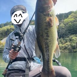 ブラックバスの釣果写真