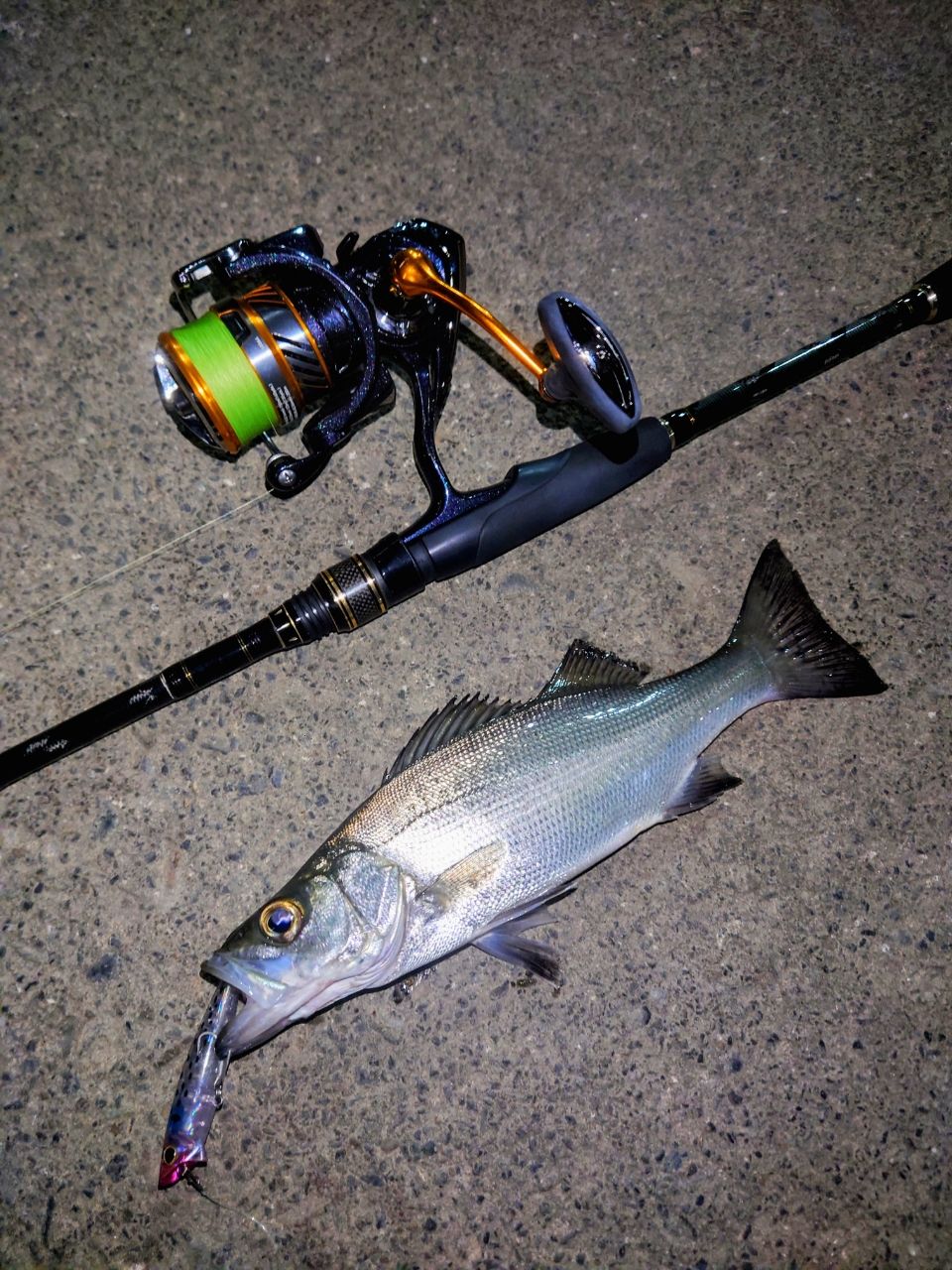 AbuGarcia クロスフィールド XRFS-802MLの最安値・インプレ・釣果
