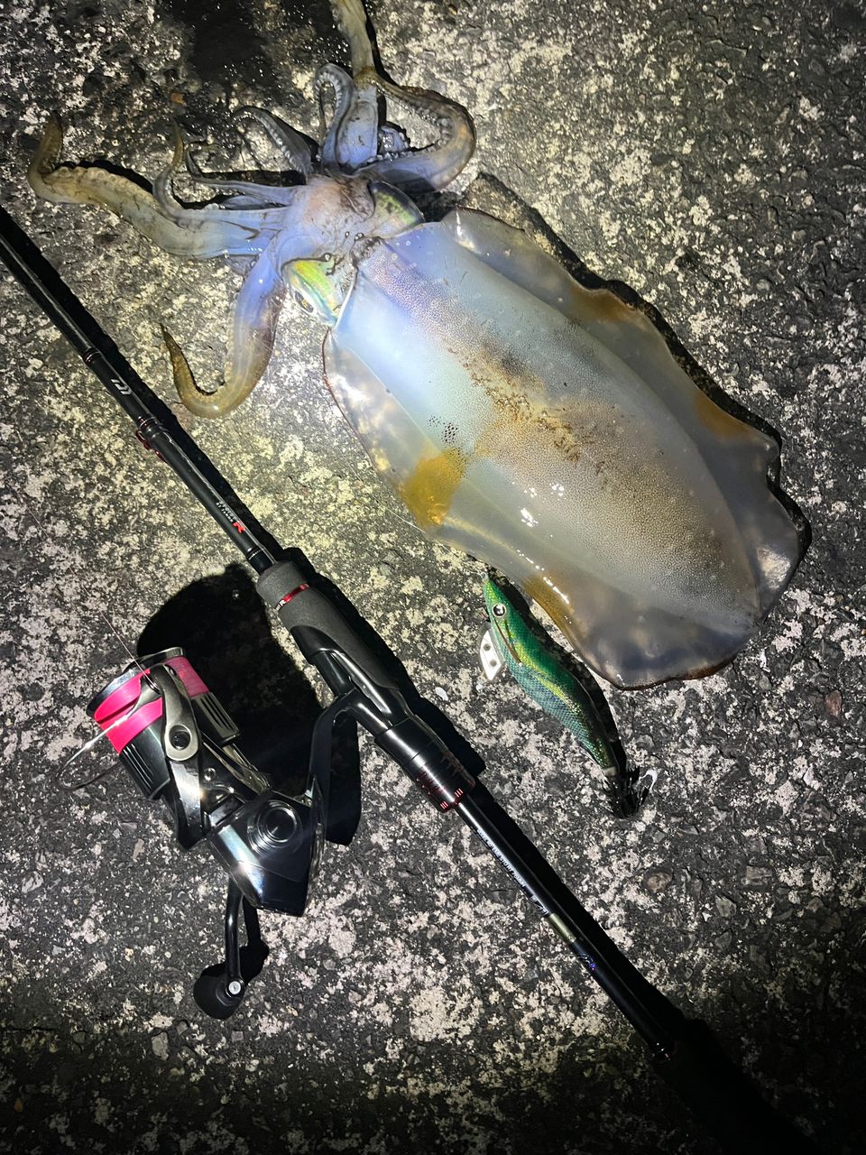 DAIWA 16エメラルダス ストイスト AGS 76MMH-SMTの最安値・インプレ