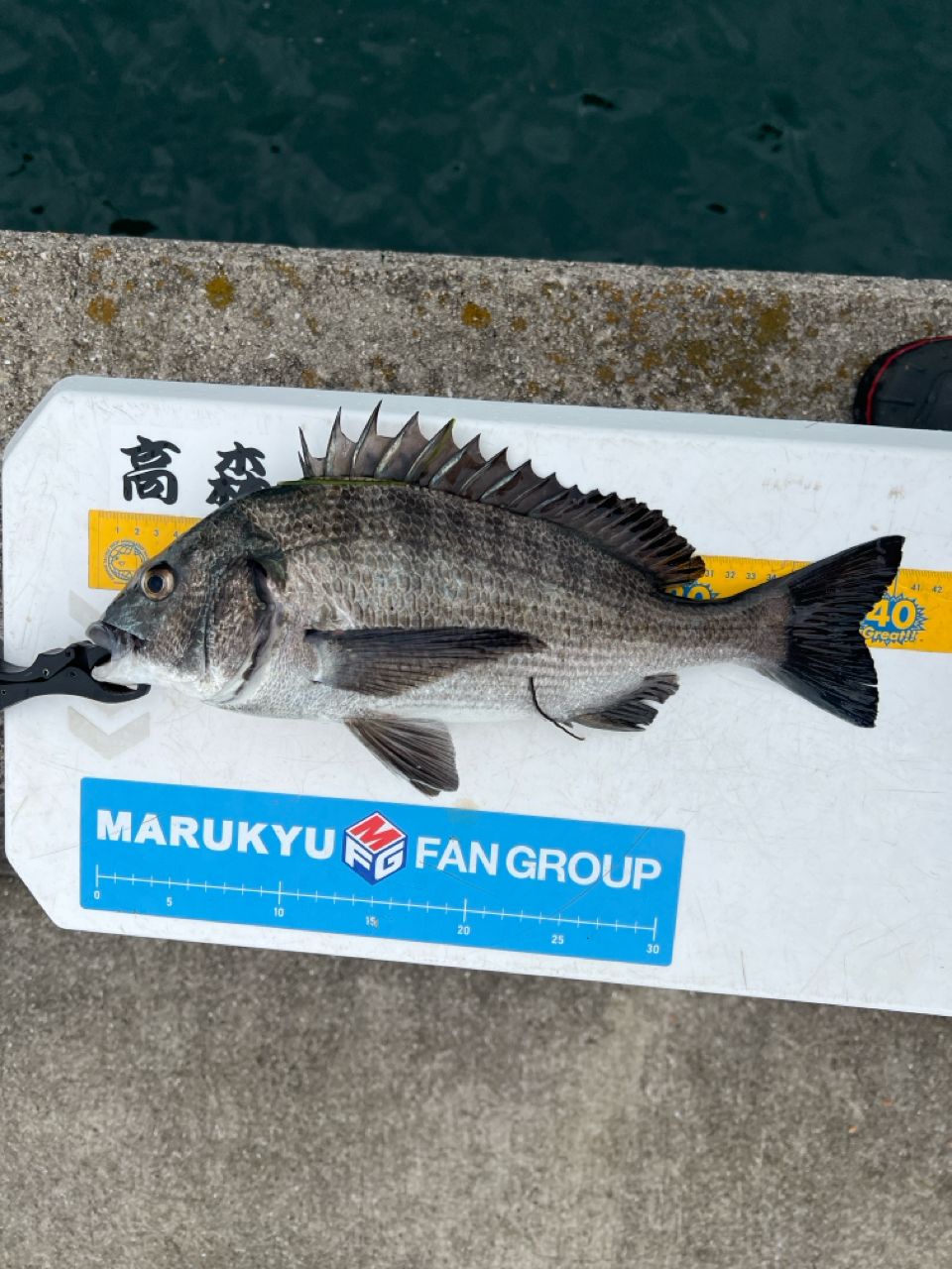 DAIWA 銀狼王牙 AGS 2020年モデルの最安値・インプレ・釣果 | 本音の