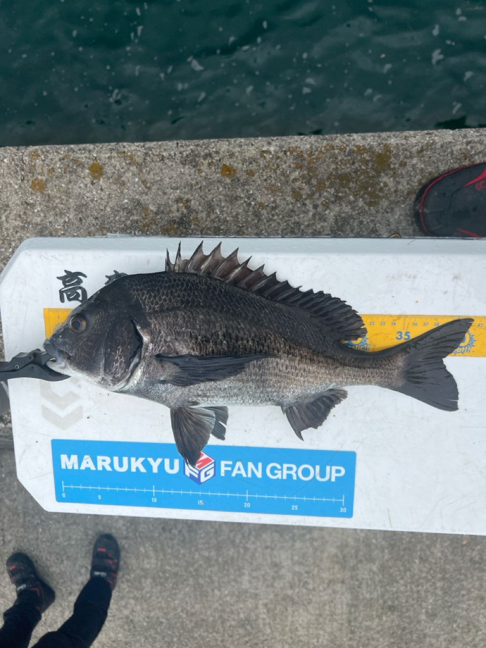 DAIWA 20銀狼王牙 AGS 1号-53・Rの最安値・インプレ・釣果 | 本音の