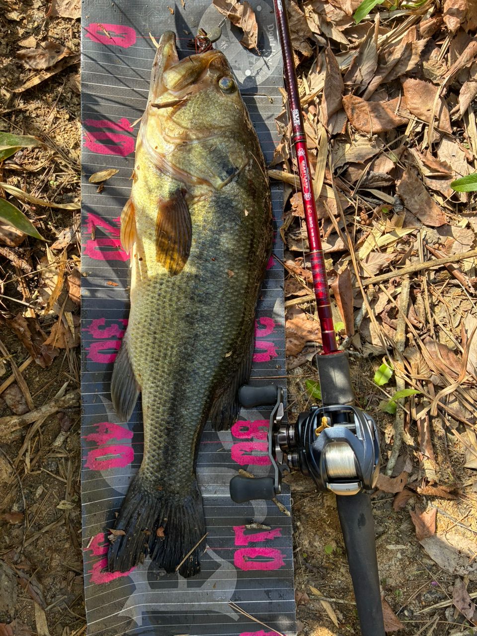 ダイワ　ハートランド疾風七四 HL 741MHRB-SV AGS17 DAIWA 14ハートランド AGS 741MHRB-SV AGS17の最安値・インプレ・釣果