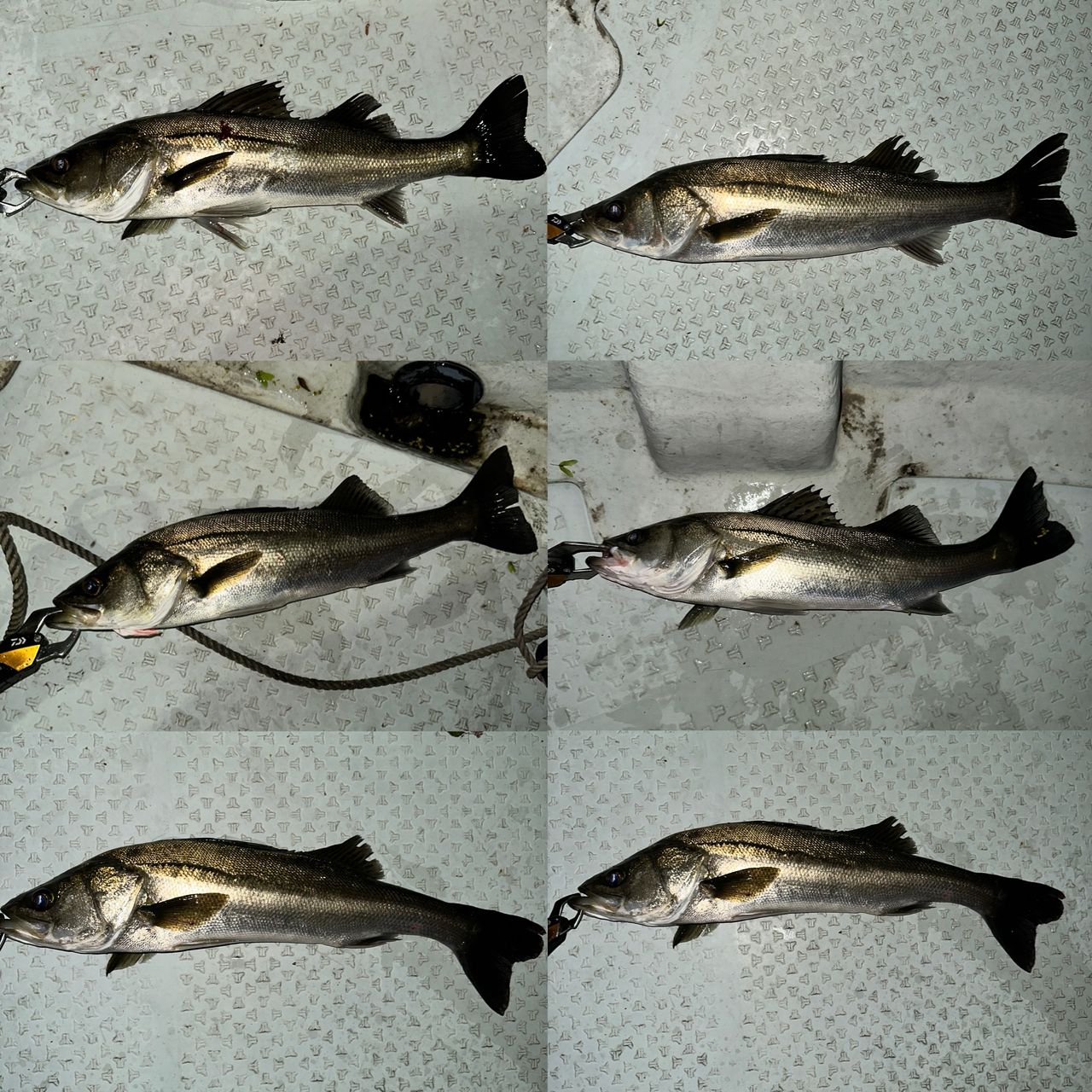 DAIWA 16ラブラックス AGS BS 72MHSの最安値・インプレ・釣果 | 本音の