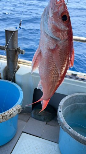 釣果