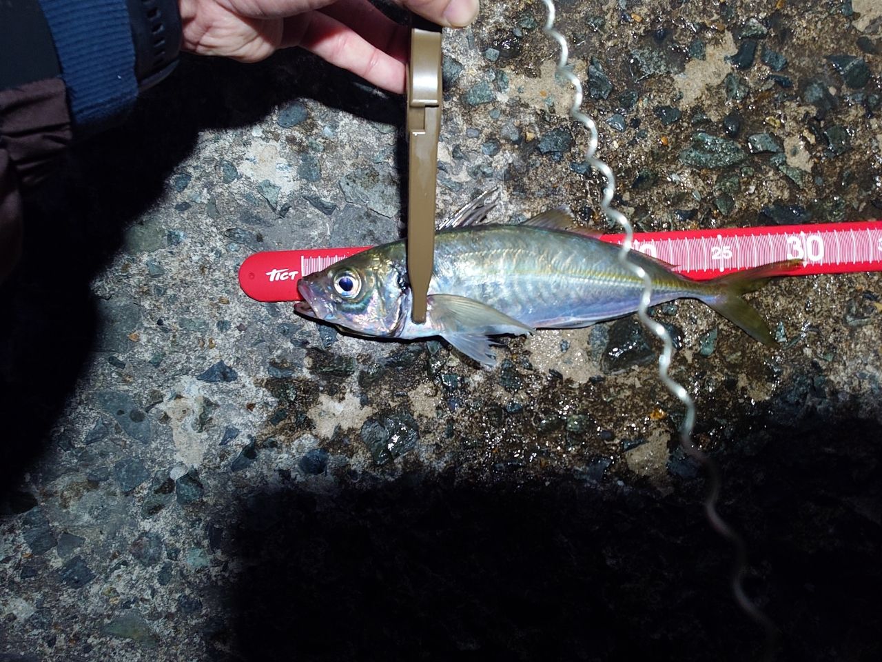 SHIMANO 18ソアレ SS アジング S610SUL-Sの最安値・インプレ・釣果