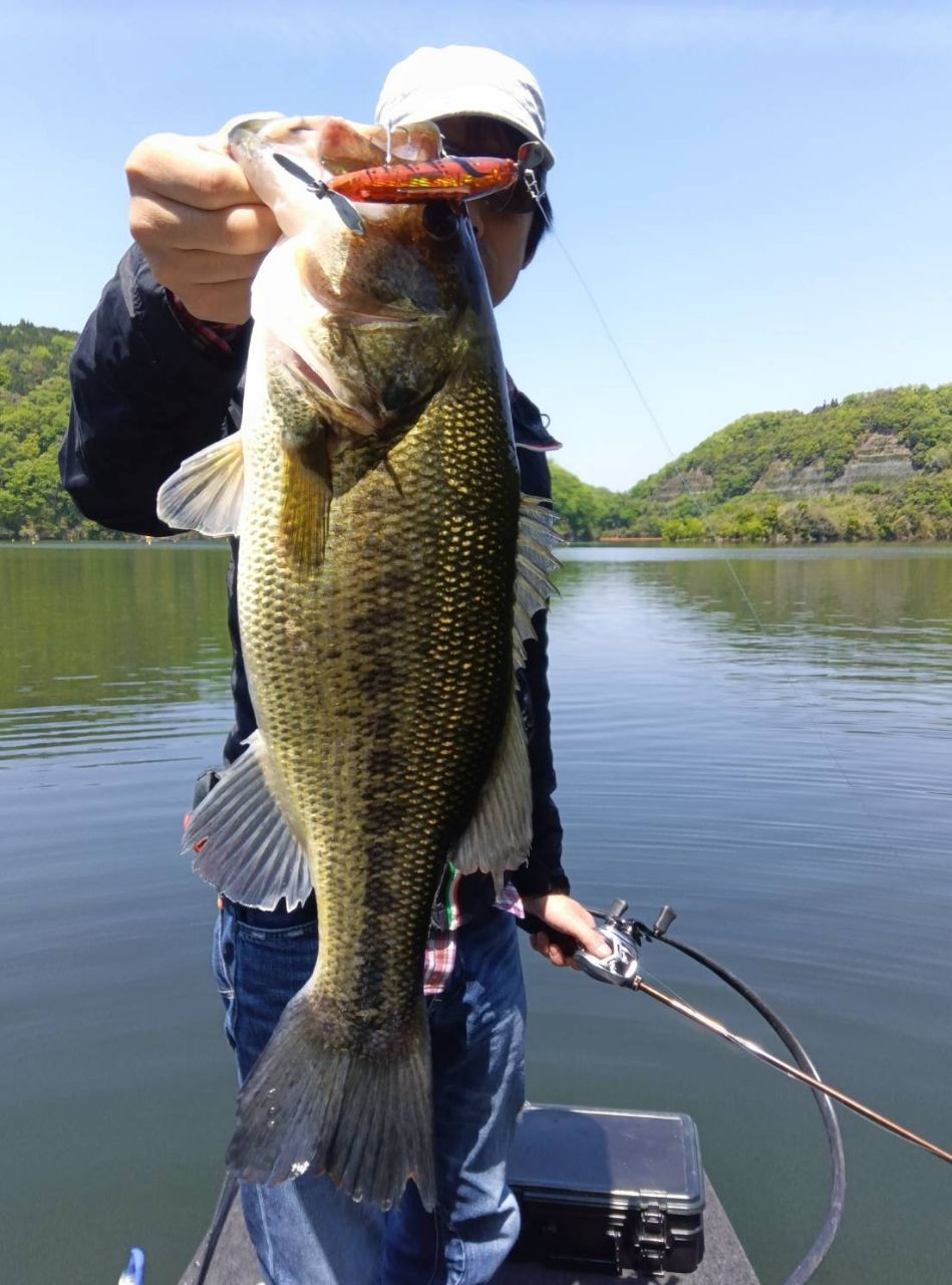 ブラックバスの釣果写真