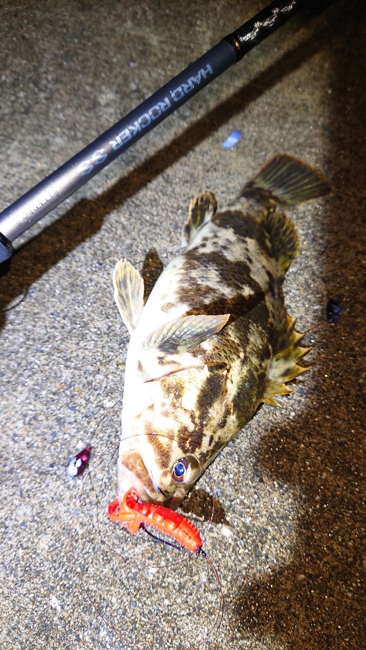 ハードロッカーss S83ML+ シマノ（SHIMANO） ハードロッカーSS S83ML+ / ロックフィッシュ 根魚