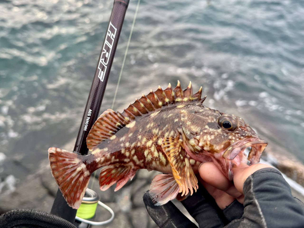 DAIWA 19HRF® (ハードロックフィッシュ) AGS 96M/MHの最安値・インプレ