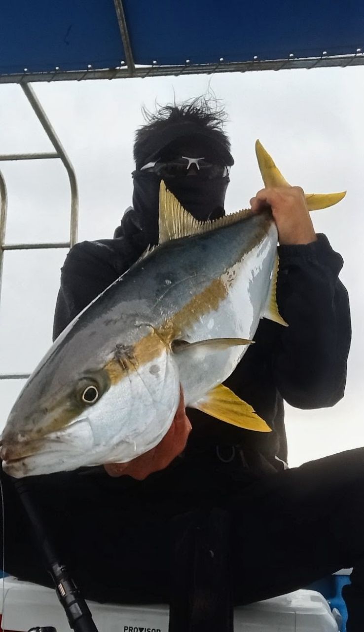 まっくす さんの 2026年04月26日のヒラマサの釣り・釣果情報(益田沖