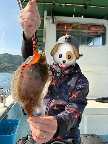 ヒラメの釣果