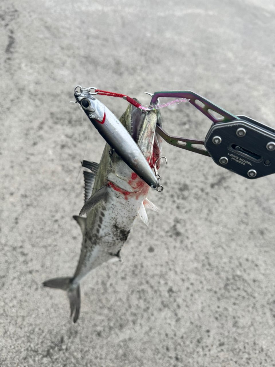 ✨SHIMANO 20 ストラディック SW5000XG｜すぐ使えるPE付き✨ 20ストラディックSW 5000XG 改造＆インプレ（1）各番手ごとのモデル