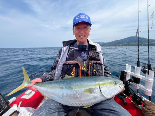 ブリの釣果