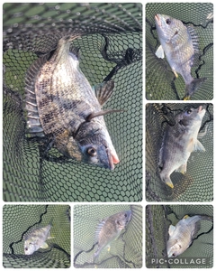 釣果